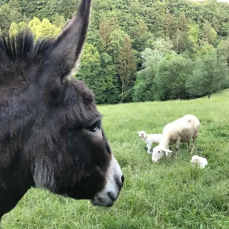 Feriegård Tourist Farm Artisek *