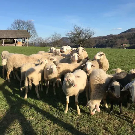 Alloggio per agriturismo Tourist Farm Artisek *