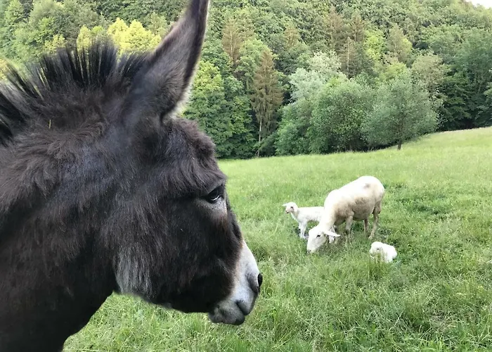 Smještaj na farmi Tourist Farm Artisek *