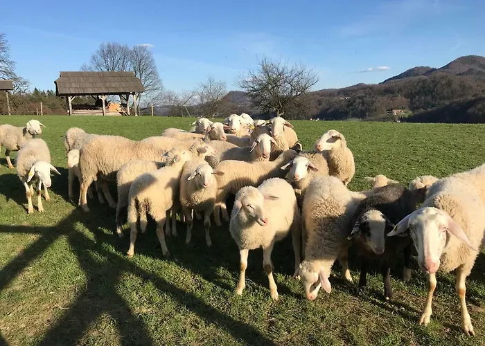 Bivanje na kmetiji Tourist Farm Artisek *